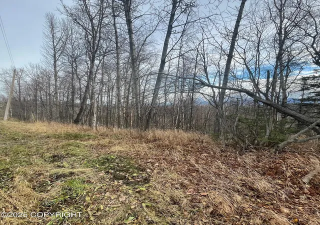 Photo 3 of Land for sale at 5500 W Birch Harbor Dr, Wasilla, AK 99623 | MLS# 25-13720 | Listing updated on 2026-08-17