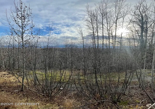 Photo 3 of Land for sale at 5500 W Birch Harbor Dr, Wasilla, AK 99623 | MLS# 25-13720 | Listing updated on 2026-08-17