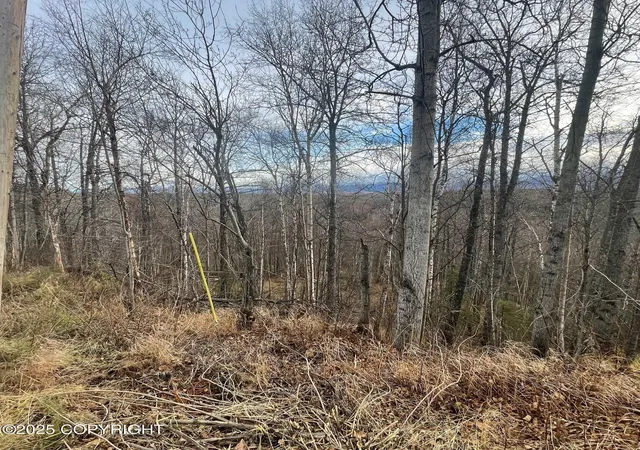 Photo 4 of Land for sale at 5500 W Birch Harbor Dr, Wasilla, AK 99623 | MLS# 25-13720 | Listing updated on 2026-08-17