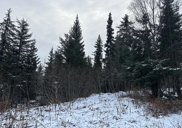 Homes for sale in Anchor Point, AK | 000 Old Sterling Hwy, Anchor Point, AK 99556 | MLS# 25-14123
