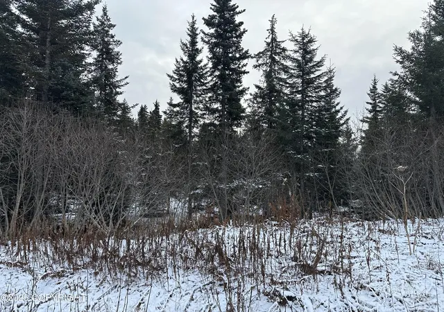 Photo 3 of Sale Pending at 000 Old Sterling Hwy, Anchor Point, AK 99556 | MLS# 25-14123 | Listing updated on 2026-09-28