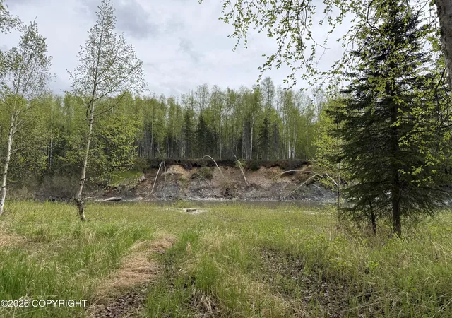 Homes for sale in Willow, AK | 15714 E Angler Dr, Willow, AK 99688 | MLS# 25-14154