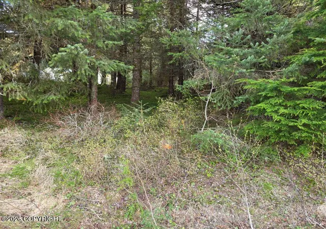 Homes for sale in Haines, AK | L3 Lutak Rd, Haines, AK 99827 | MLS# 25-14205