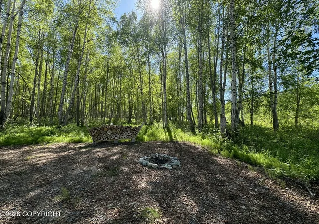 Homes for sale in Willow, AK | 49246 S Hunter Dr, Willow, AK 99688 | MLS# 25-14565