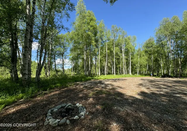Homes for sale in Willow, AK | 49246 S Hunter Dr, Willow, AK 99688 | MLS# 25-14565
