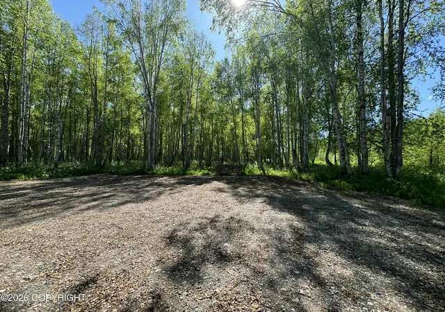 Homes for sale in Willow, AK | 49246 S Hunter Dr, Willow, AK 99688 | MLS# 25-14565