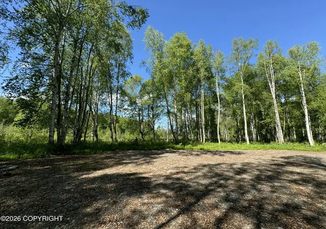 Homes for sale in Willow, AK | 49246 S Hunter Dr, Willow, AK 99688 | MLS# 25-14565