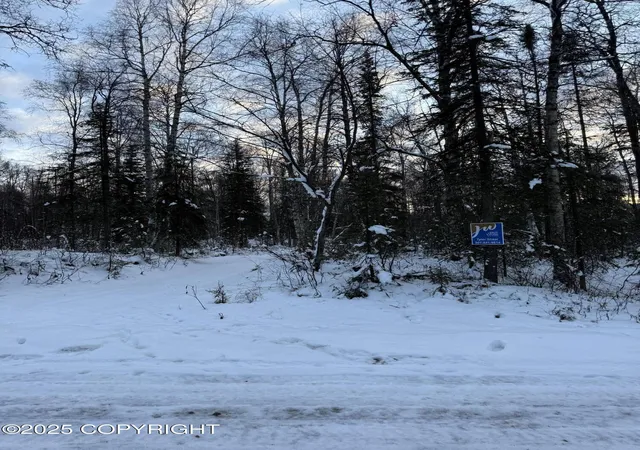Photo 3 of Land for sale at 16486 E Barge Dr, Talkeetna, AK 99676 | MLS# 25-14536 | Listing updated on 2026-01-24