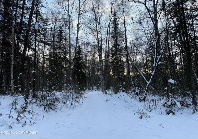 Photo 3 of Land for sale at 16486 E Barge Dr, Talkeetna, AK 99676 | MLS# 25-14536 | Listing updated on 2026-01-24