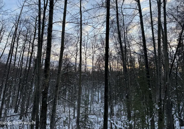 Photo 4 of Land for sale at 16486 E Barge Dr, Talkeetna, AK 99676 | MLS# 25-14536 | Listing updated on 2026-01-24
