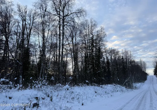 9th image of 16486 E Barge Dr, Talkeetna, AK 99676 | MLS# 25-14536
