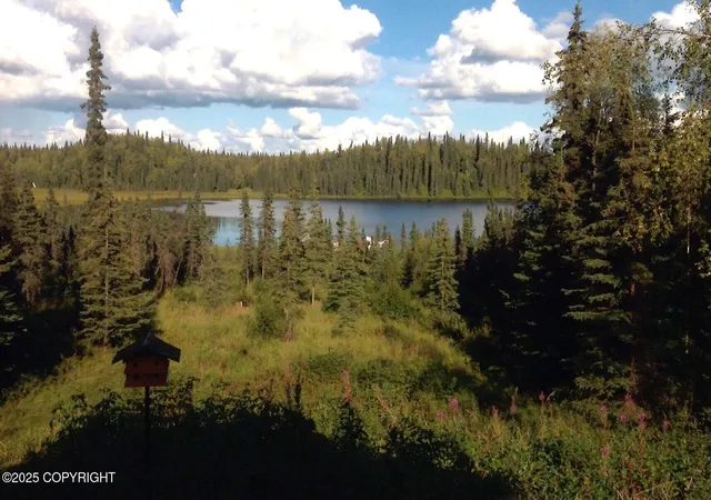 Homes for sale in Remote, AK | Tract D Asls 85 57, Remote, AK 99683 | MLS# 25-14711