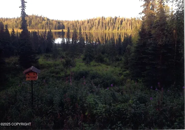 Homes for sale in Remote, AK | Tract D Asls 85-57, Remote, AK 99683 | MLS# 25-14711