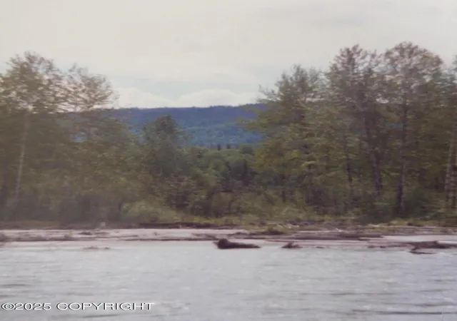 2nd image of L3 1 B9 Chase 2, Unit 5, Talkeetna, AK 99676 | MLS# 25-14752
