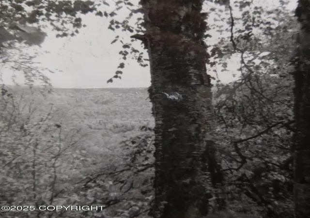 Photo 3 of Land for sale at L3 1 Chase 2, Talkeetna, AK 99676 | MLS# 25-14752 | Listing updated on 2025-12-18