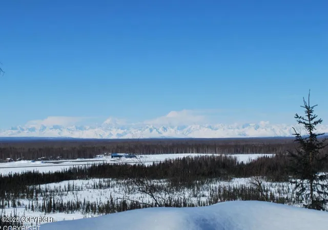 3rd image of 15199 E Axelsson Dr, Talkeetna, AK 99676 | MLS# 25-14823