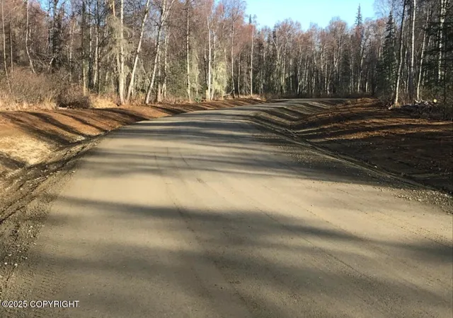 5th image of 15199 E Axelsson Dr, Talkeetna, AK 99676 | MLS# 25-14823