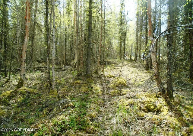 Photo 4 of Land for sale at 6671 S Lark Cir, Wasilla, AK 99623 | MLS# 25-14953 | Listing updated on 2026-09-15