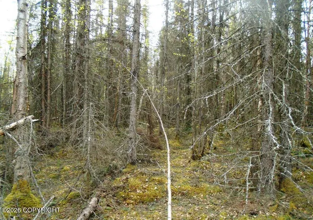 11th image of 6677 S Lark Cir, Wasilla, AK 99623 | MLS# 25-14954