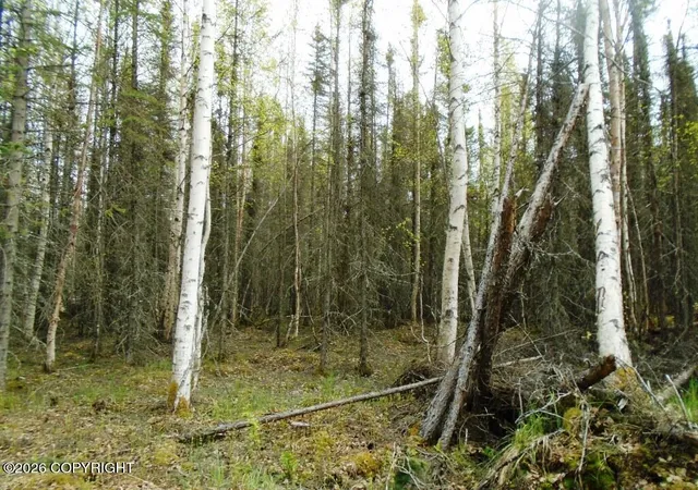 1st image of 6677 S Lark Cir, Wasilla, AK 99623 | MLS# 25-14954