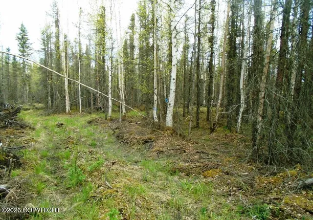 2nd image of 6677 S Lark Cir, Wasilla, AK 99623 | MLS# 25-14954