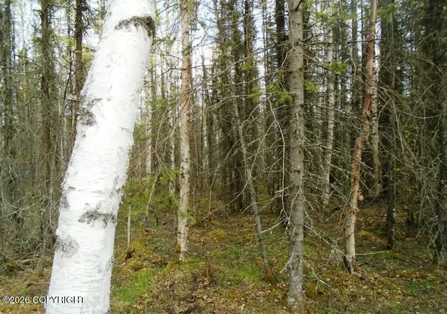 3rd image of 6677 S Lark Cir, Wasilla, AK 99623 | MLS# 25-14954