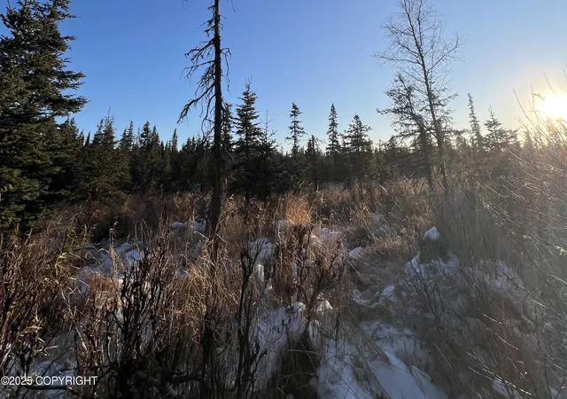 Homes for sale in Anchor Point, AK | 34725 N Fork Rd, Anchor Point, AK 99556 | MLS# 25-15030