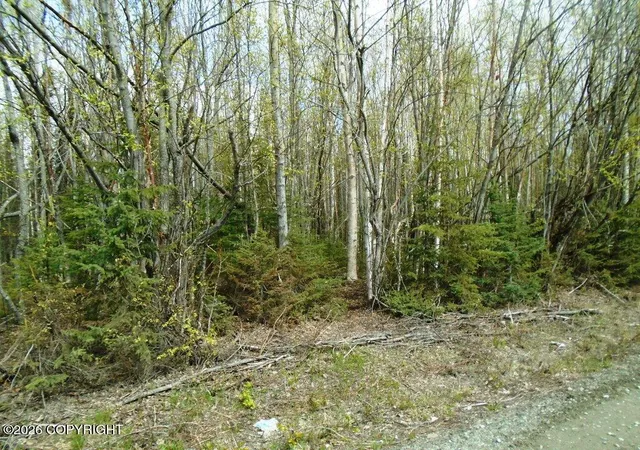 2nd image of 6703 S Lark Cir, Wasilla, AK 99623 | MLS# 25-14955