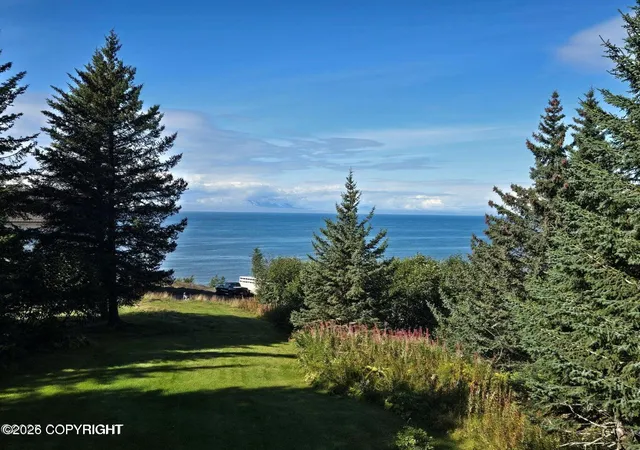 Homes for sale in Anchor Point, AK | 35625 Anchor River Air Park Ln, Anchor Point, AK 99556 | MLS# 26-19