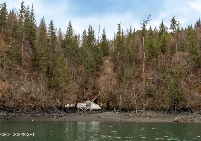 Homes for sale in Homer, AK | 000 Bear Cove, Homer, AK 99603 | MLS# 26-219