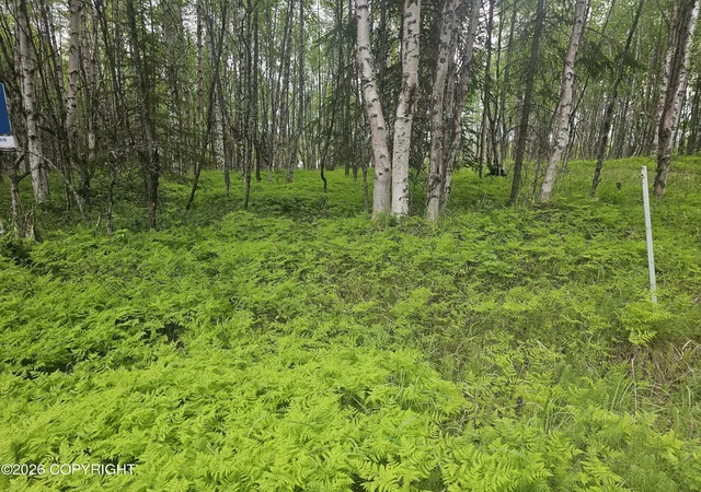 1st image of 000 Shay Lynn Cir, Soldotna, AK 99669 | MLS# 26-290