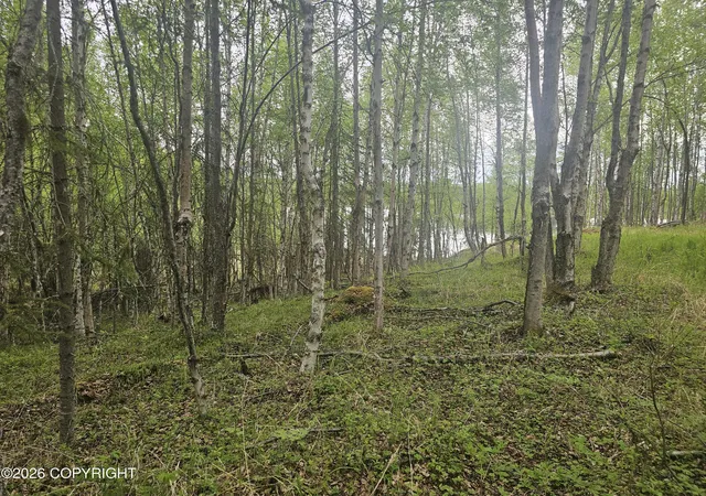 2nd image of 000 Shay Lynn Cir, Soldotna, AK 99669 | MLS# 26-290