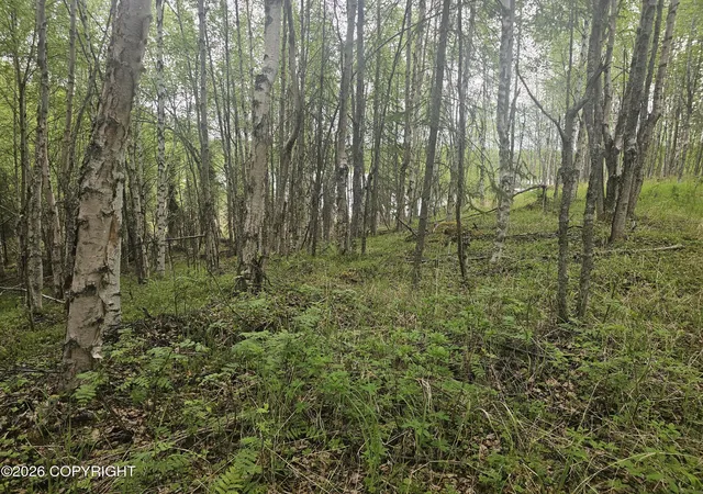 3rd image of 000 Shay Lynn Cir, Soldotna, AK 99669 | MLS# 26-290