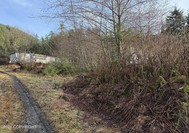image of 35 Mile Zimovia Hwy, Wrangell, AK 99929 | MLS# 26-418