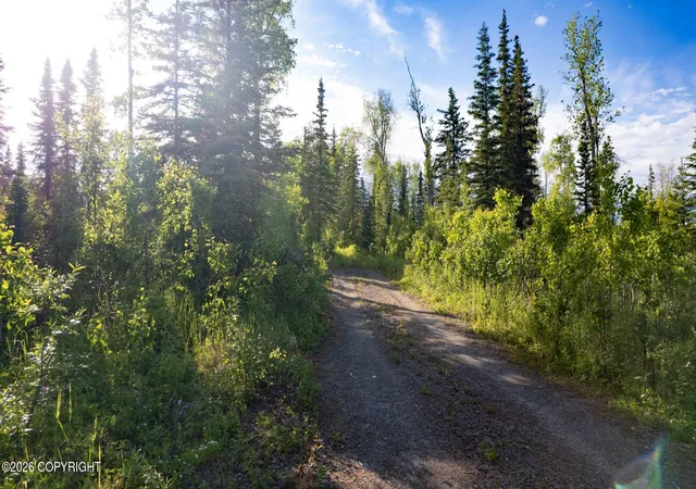 Photo 4 of Land for sale at 41158 Carnation Ct, Soldotna, AK 99669 | MLS# 26-651 | Listing updated on 2026-08-28