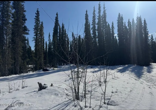 2nd image of L5b1 Pringle Road, Tok, AK 99780 | MLS# 26-852