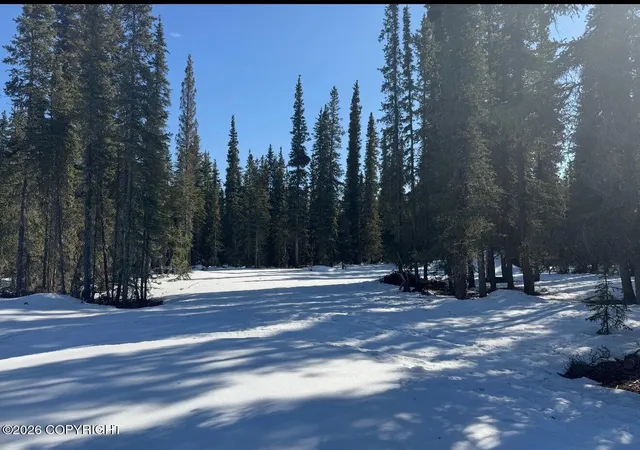 3rd image of L5B1 Pringle Road, Tok, AK 99780 | MLS# 26-852