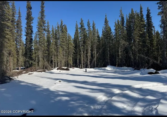 4th image of L5B1 Pringle Road, Tok, AK 99780 | MLS# 26-852