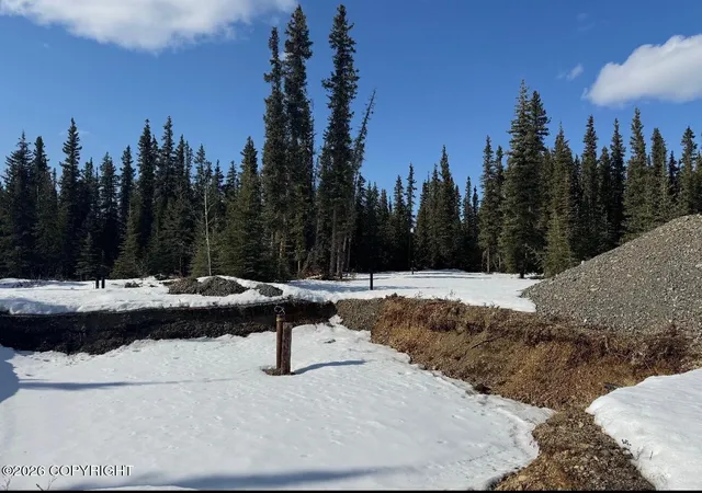 5th image of L5B1 Pringle Road, Tok, AK 99780 | MLS# 26-852