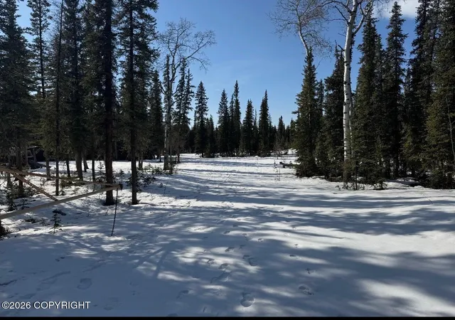 7th image of L5b1 Pringle Road, Tok, AK 99780 | MLS# 26-852