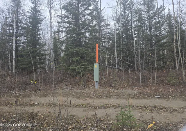 Photo 3 of Land for sale at L11 B1 Brenden Blvd, Copper Center, AK 99573 | MLS# 26-860 | Listing updated on 2026-03-12