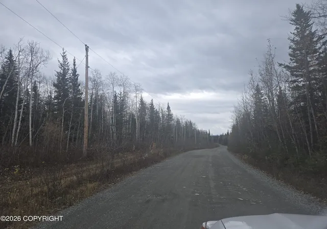 Photo 3 of Land for sale at L11 B1 Brenden Blvd, Copper Center, AK 99573 | MLS# 26-860 | Listing updated on 2026-03-12