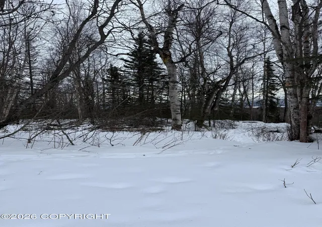 Photo 3 of Land for sale at L2 Redington Ests, Wasilla, AK 99623 | MLS# 26-984 | Listing updated on 2026-03-26