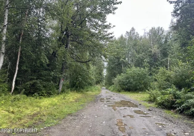 Homes for sale in Willow, AK | 23963 W Johnson Dr, Willow, AK 99688 | MLS# 26-1158