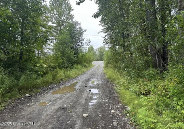 Homes for sale in Willow, AK | 23963 W Johnson Dr, Willow, AK 99688 | MLS# 26-1158