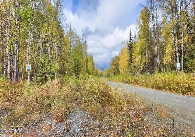 2nd image of L1 S Clara Cir, Talkeetna, AK 99676 | MLS# 26-1670