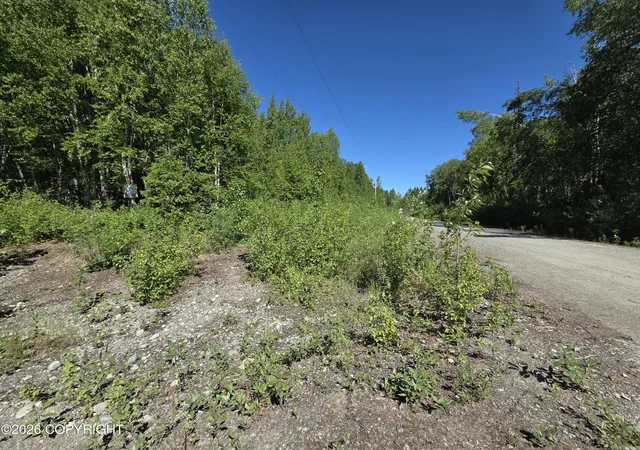 3rd image of L1 S Clara Cir, Talkeetna, AK 99676 | MLS# 26-1670