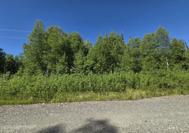 4th image of L1 S Clara Cir, Talkeetna, AK 99676 | MLS# 26-1670