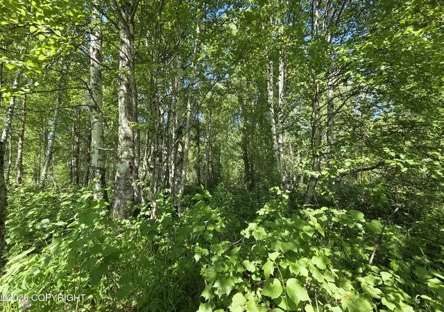 5th image of L1 S Clara Cir, Talkeetna, AK 99676 | MLS# 26-1670