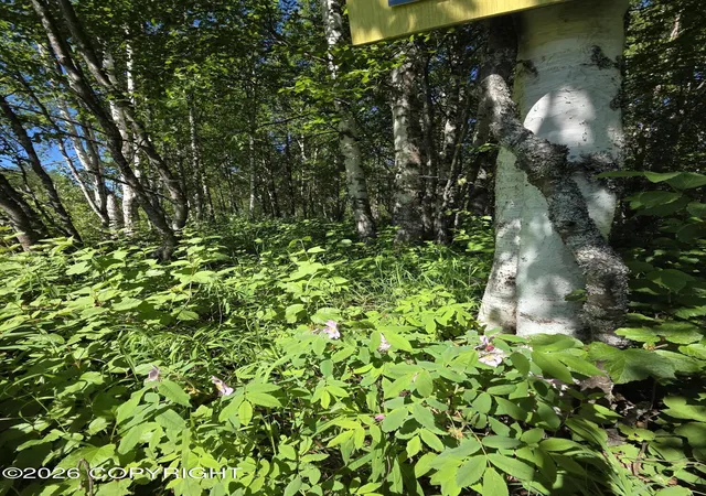 9th image of L1 S Clara Cir, Talkeetna, AK 99676 | MLS# 26-1670